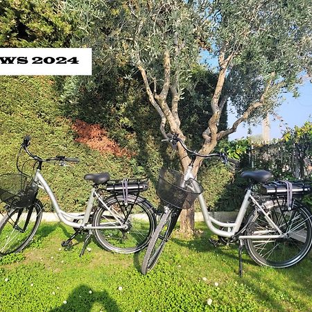 Garda View - Nuovo Appartamento Con Solarium Vista Lago Dış mekan fotoğraf